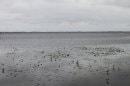 Lac de Grand-Lieu